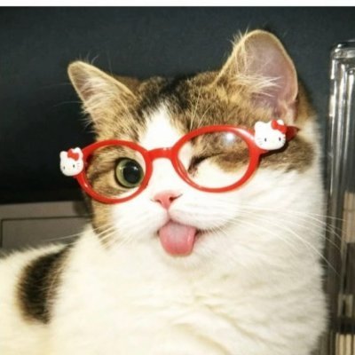 RB1715's profile picture