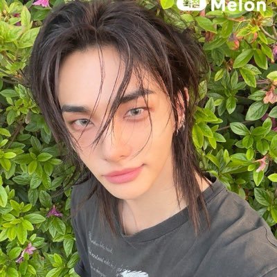 _dooljinset's profile picture