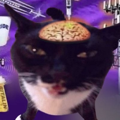 clnnapupp's profile picture