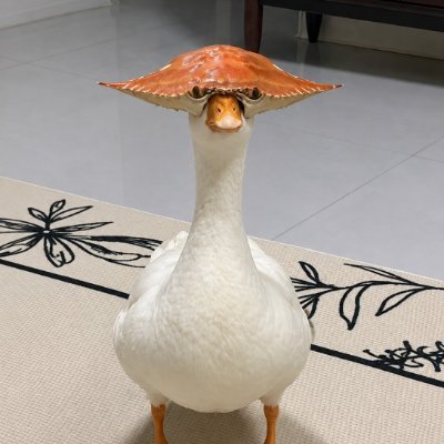 coklatpahiit's profile picture