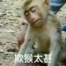 Kiwi 的头像