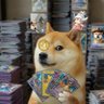Фото профиля PaĐrinu’s TCG 🐕
