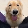 potato doge （互关不退追） 的头像