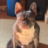cranky's profile picture
