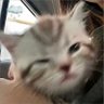 逻辑 profil fotoğrafı