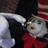 Ty's profile picture