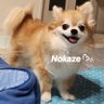 Profilbild von 野風✧˖°