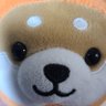 さくら's profile picture
