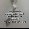 Elif Firuze Şahin's profile picture