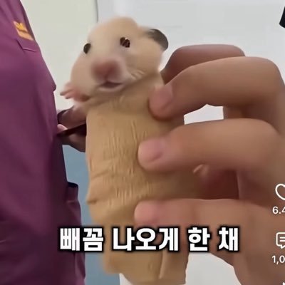케로로존나기여워's profile picture