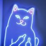 SoyLupe's profile picture