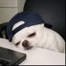 ⭒˚.⋆จะโม้☀︎ ੯‧̀͡⬮ | แม่น้องอ้าย's profile picture