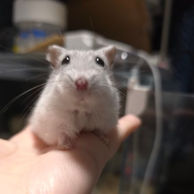 milky122098's profile picture