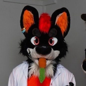 PupJax13's profile picture
