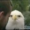 Profilbild von …