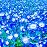 Фото профиля ちゃう