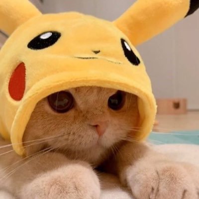 kreo's profile picture