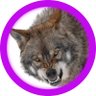 jmnv's profile picture