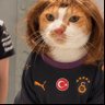 elmalı sodişko 的头像