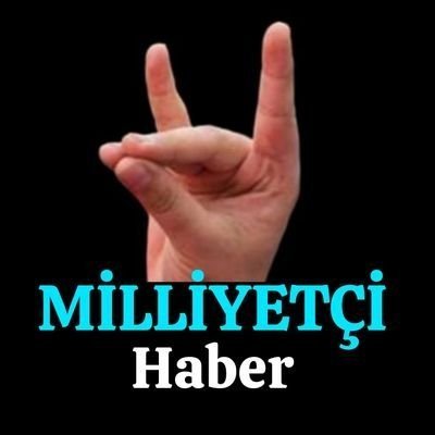 MilliyetciHbr's profile picture