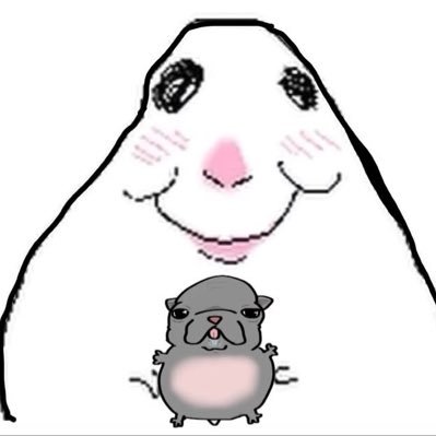 very slow 떵야's profile picture
