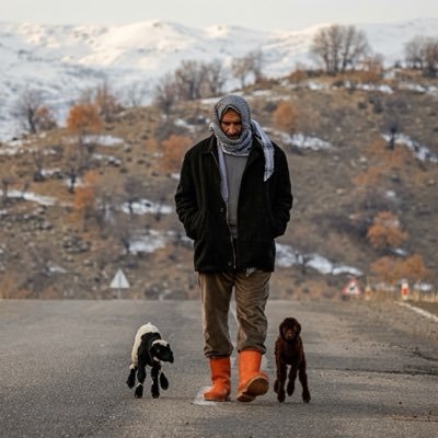 TNT822's profile picture