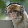 dailycontent profil fotoğrafı