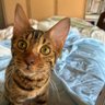 Meg's profile picture
