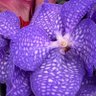 ℂ𝕁 ⁷ _8_8♍️ 💜💚🩷's profile picture