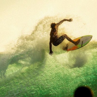 🏄's profile picture