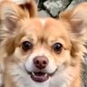 D's profile picture