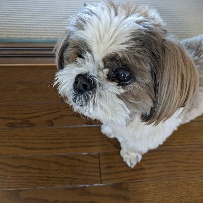 ITTOKU_55's profile picture