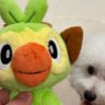 mubiiiii's profile picture