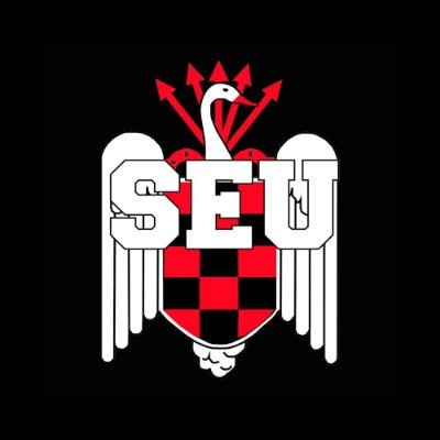 SEU_es's profile picture