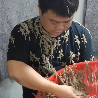 Mas's profile picture
