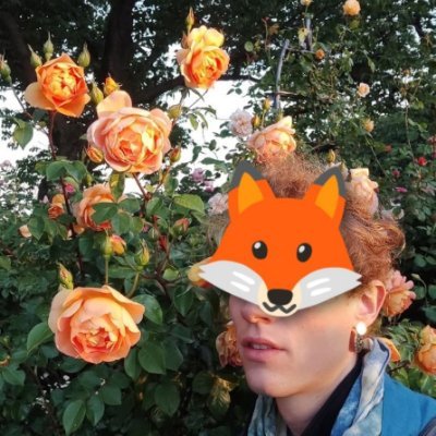 Dlavad1's profile picture
