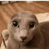 -× ṢTØRHị ×- profil fotoğrafı