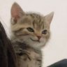 Profilbild von Furkan