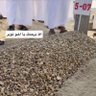 آ.مانع الشمري's profile picture