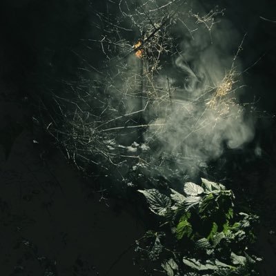 goscoom's profile picture