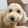 EB's profile picture