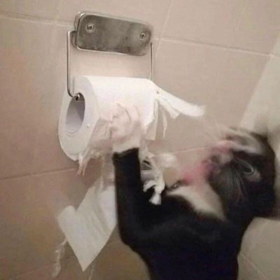 aymreinn's profile picture