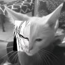 Profilbild von T O J I