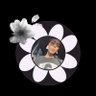 kimmy ꕤ 。˚⋆ 的头像