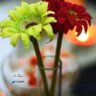ᥫ᭡ profil fotoğrafı