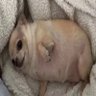 Profilbild von _hoffi88