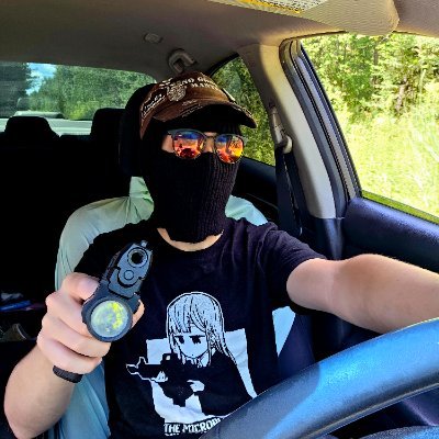 Just Ⓐ Fox 🏳️⚧️🏴's profile picture