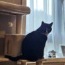 Susie Q1888's profile picture