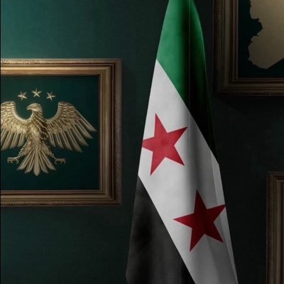 ابـن حـُمص🇸🇾 ١٢/٨'s profile picture