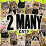 Profilbild von TWOOMANYCATS